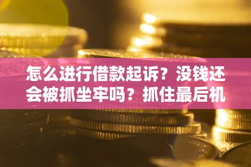 武汉怎么进行借款起诉？没钱还会被抓坐牢吗？抓住最后机会！