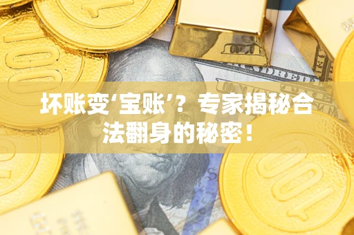 武汉坏账变‘宝账’？专家揭秘合法翻身的秘密！
