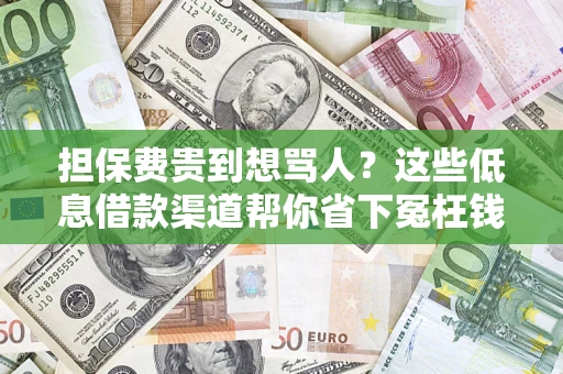 武汉担保费贵到想骂人？这些低息借款渠道帮你省下冤枉钱