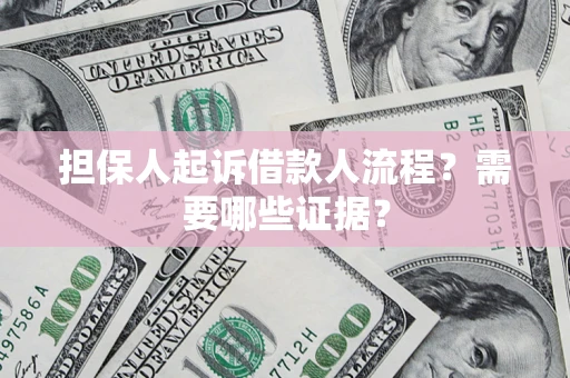武汉担保人起诉借款人流程？需要哪些证据？