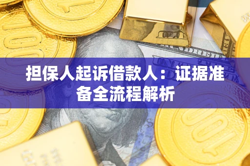 武汉担保人起诉借款人：证据准备全流程解析