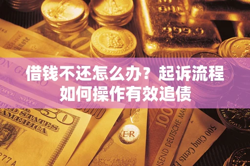 武汉借钱不还怎么办？起诉流程如何操作有效追债