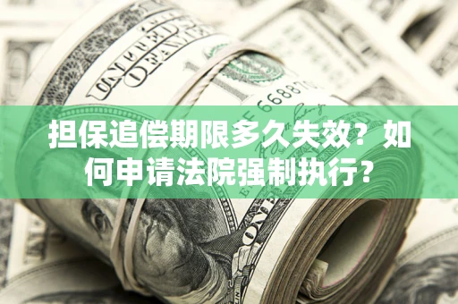 武汉担保追偿期限多久失效？如何申请法院强制执行？