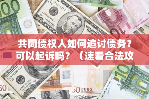 武汉共同债权人如何追讨债务？可以起诉吗？（速看合法攻略）