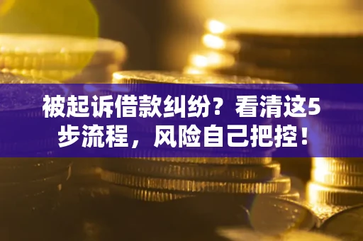 武汉被起诉借款纠纷？看清这5步流程，风险自己把控！