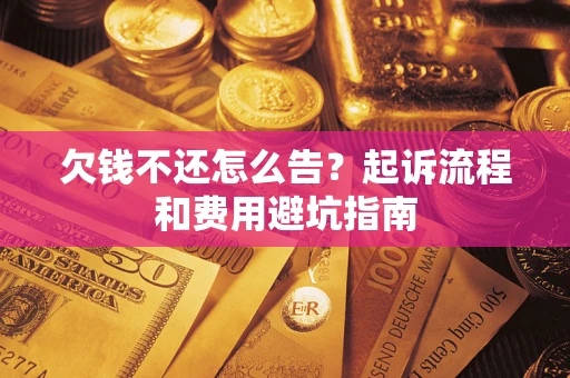 武汉欠钱不还怎么告？起诉流程和费用避坑指南