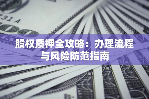 武汉股权质押全攻略：办理流程与风险防范指南