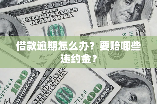 武汉借款逾期怎么办？要赔哪些违约金？