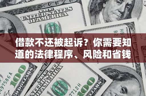 武汉借款不还被起诉？你需要知道的法律程序、风险和省钱技巧